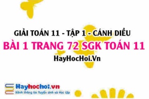 Giải bài 1 trang 72 Toán 11 tập 1 SGK Cánh Diều